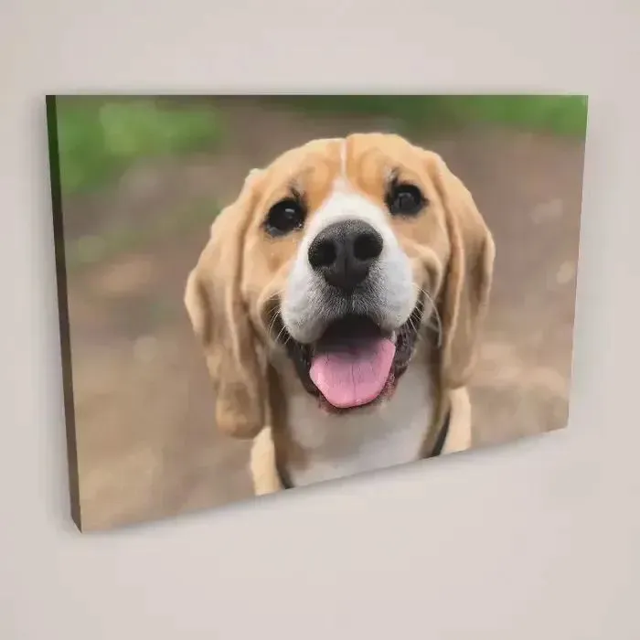 Canvas Prints product image